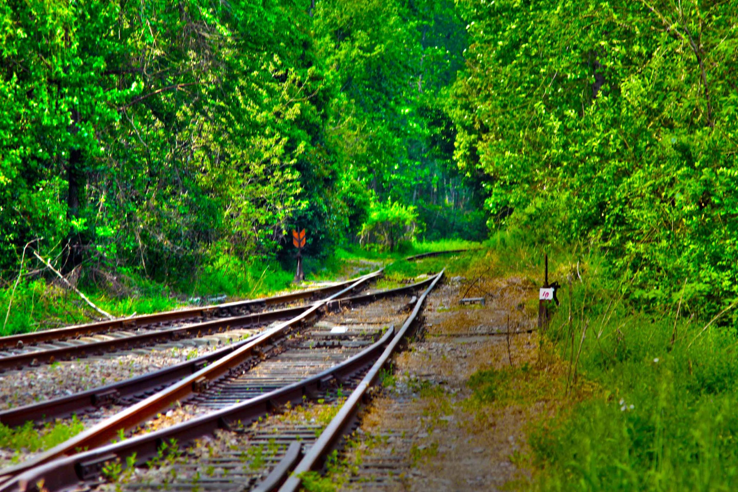 我省今年年內(nèi)有4條鐵路線投入運(yùn)營更多出行選擇！