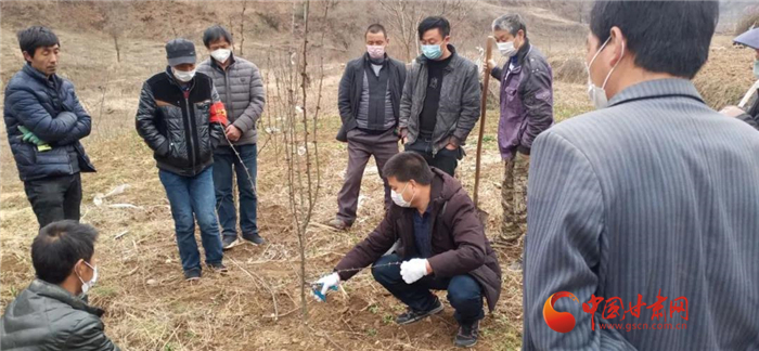 【甘肅全民戰(zhàn)“疫”】隴南徽縣：花椒田里培訓(xùn)忙，戰(zhàn)疫春耕兩不誤