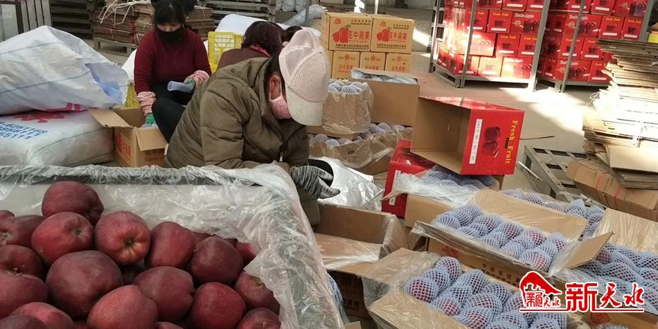 天水“花?！弊罱悬c(diǎn)“?！?>
        </a><em>天水“花?！弊罱悬c(diǎn)“?！?/em></li>
    <li><a  target=