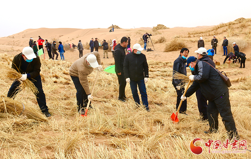 不“疫”樣的植樹節(jié)！甘肅省新聞戰(zhàn)線工作者攜手播綠“八步沙”（圖+視頻）