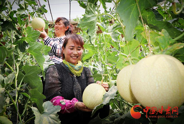 【決戰(zhàn)決勝脫貧攻堅】甘肅民勤：綠色產業(yè)鋪就小康路