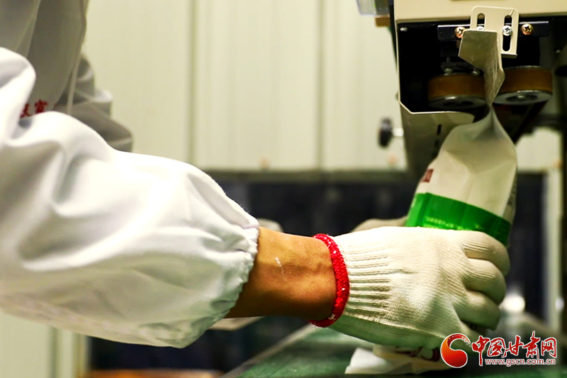 甘肅瓜州：面粉有銷(xiāo)路 小麥“不愁嫁”（圖）