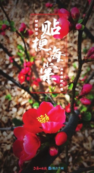 來(lái)，跟這些美美的花朵認(rèn)識(shí)一下！