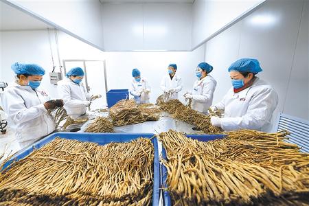 甘肅省下達(dá)兩千萬(wàn)元扶持農(nóng)民合作社規(guī)范提升