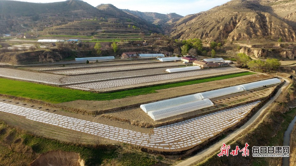 【決戰(zhàn)決勝脫貧攻堅(jiān)看慶陽(yáng)】慕明軍的“脫貧經(jīng)”