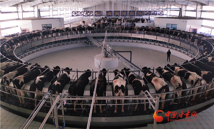 【甘肅省決戰(zhàn)決勝脫貧攻堅·面對面】馬志祥：前進村不做華西村九牛一毛 要當華西村九牛一牛