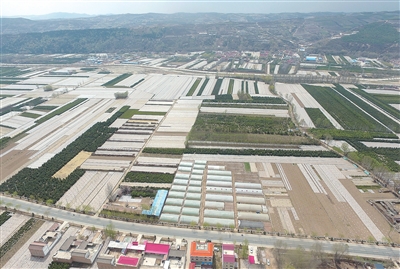 臨夏州康樂(lè)縣積極調(diào)整農(nóng)業(yè)產(chǎn)業(yè)結(jié)構(gòu)