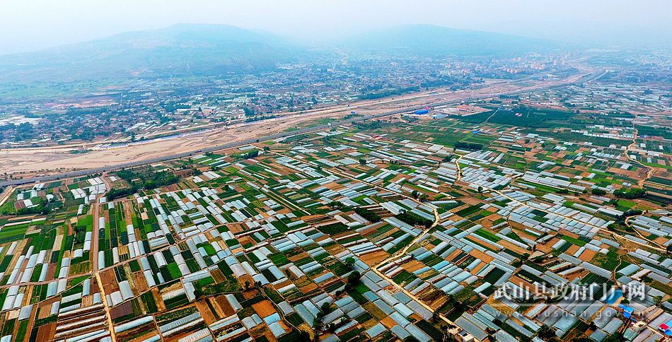 【為民情懷】武山：加快促進產(chǎn)業(yè)升級 實現(xiàn)縣域經(jīng)濟發(fā)展與民生福祉互動共贏