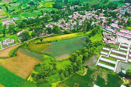 【溫暖的回響 滄桑巨變 飲水思源】這條路，通往幸福