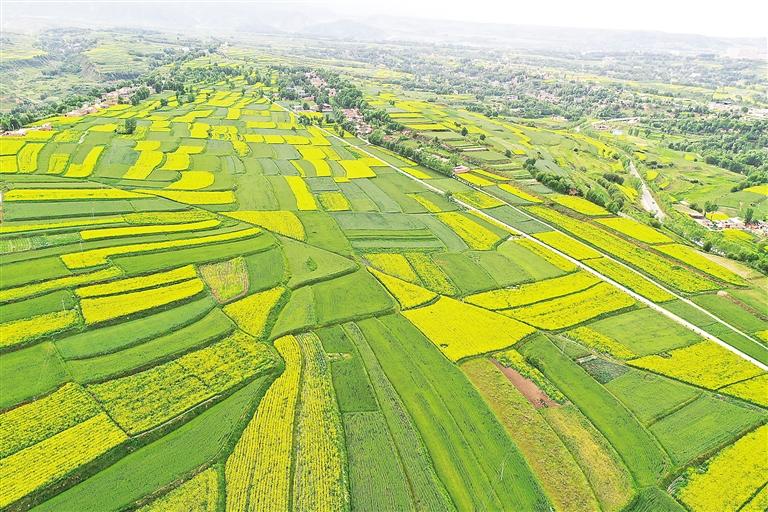 奮楫揚帆風(fēng)正勁 爭先進位正當(dāng)時——臨夏州上半年經(jīng)濟社會發(fā)展和重點工作綜述