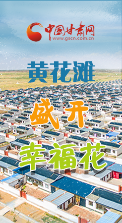 【跟著總書(shū)記看甘肅】長(zhǎng)圖|武威黃花灘盛開(kāi)幸?；?