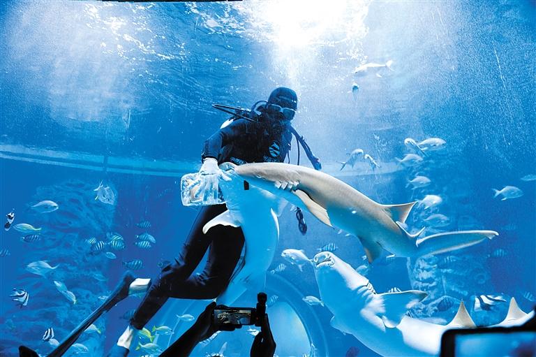 蘭州海洋公園 金昌火星1號基地 這個暑假我們“上天入?！?>
        </a><em>蘭州海洋公園 金昌火星1號基地 這個暑假我們“上天入?！?/em></li>
    <li><a  target=