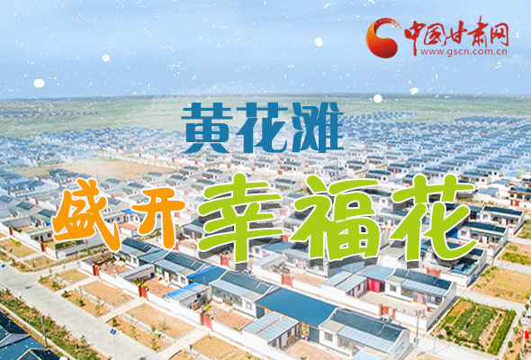 【跟著總書(shū)記看甘肅】長(zhǎng)圖|武威黃花灘盛開(kāi)幸?；?