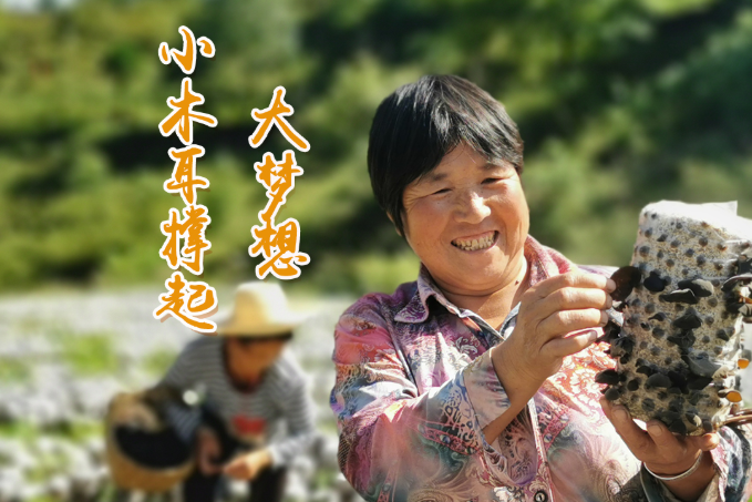 海報丨他們，乘“豐”破浪！