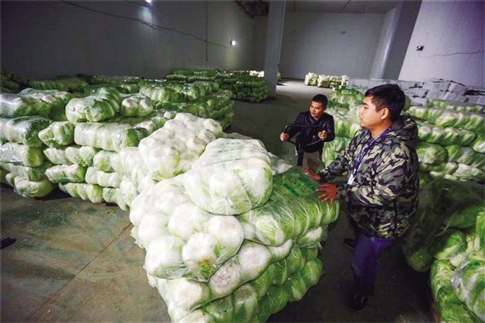 蘭州市已儲(chǔ)備1萬噸冬春蔬菜以耐貯存、易周轉(zhuǎn)品種為主