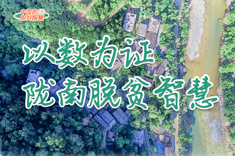 【中國(guó)的脫貧智慧】以數(shù)為證！隴南脫貧智慧來(lái)了！