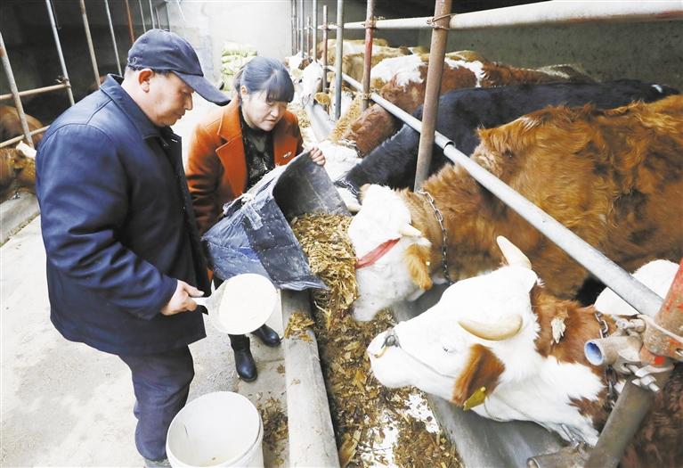 我和我的家鄉(xiāng)丨定西臨洮縣黨家墩村：“?！碑a(chǎn)業(yè)帶來(lái)“?！比兆?>
        </a><em>我和我的家鄉(xiāng)丨定西臨洮縣黨家墩村：“?！碑a(chǎn)業(yè)帶來(lái)“?！比兆?/em></li>
    <li><a  target=