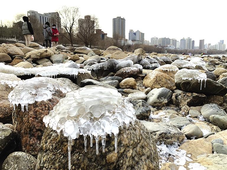 蘭州：水母上河灘？