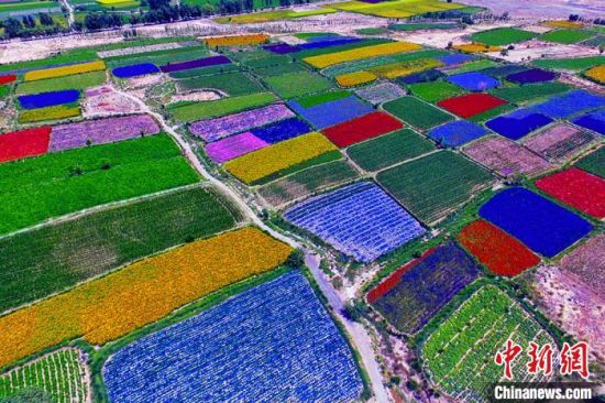 甘肅酒泉：除了天時地利，還有一“種”力