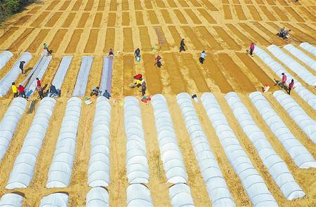 又是一年春耕時——甘肅省各地全力護(hù)航春耕備耕掃描