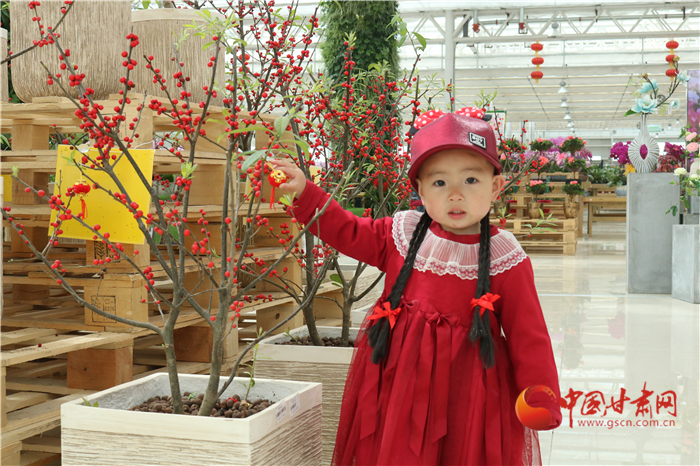 【鄉(xiāng)村振興看甘肅】蘭州新區(qū)：百花爭艷春光美 游客賞花正當時