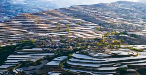 【百年華誕 絢麗隴原】第三篇章·第一單元|改革起步 農業(yè)發(fā)展