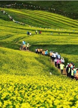 甘肅明確農(nóng)民進(jìn)城落戶:不以退出承包地、林地等為條件