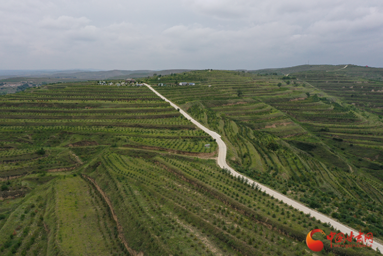 定西：山上綠化城中凈化 經濟發(fā)展交出“綠色答卷”