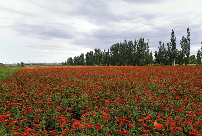 【小康圓夢(mèng)·看甘肅】瓜州：扮靚美麗鄉(xiāng)村“新畫面”