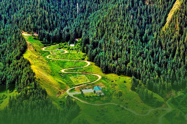 海報|祁連山保護區(qū)生態(tài)環(huán)境問題整改全面完成！