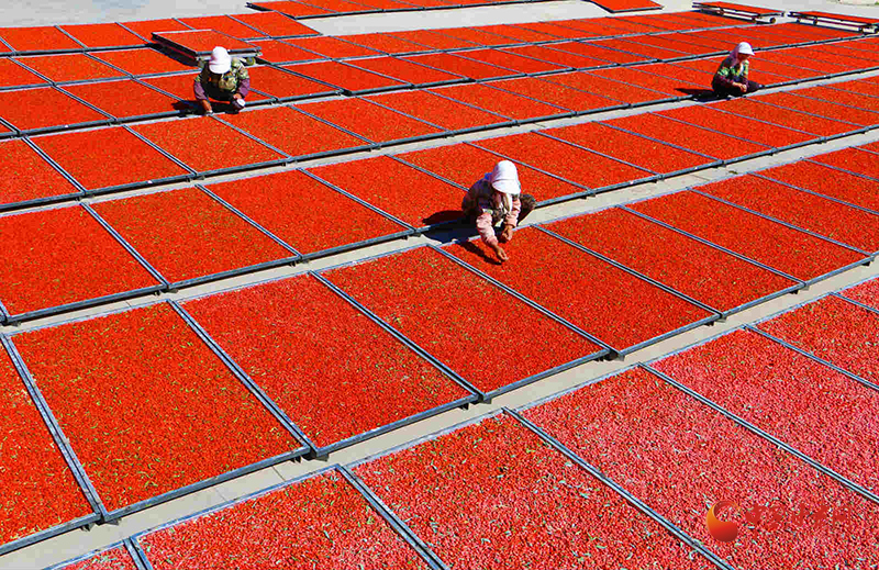 砥礪奮進譜新篇——山丹縣經濟社會發(fā)展綜述