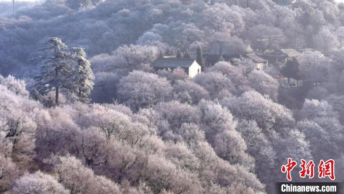 圖為霧凇美景。　徐振華 攝