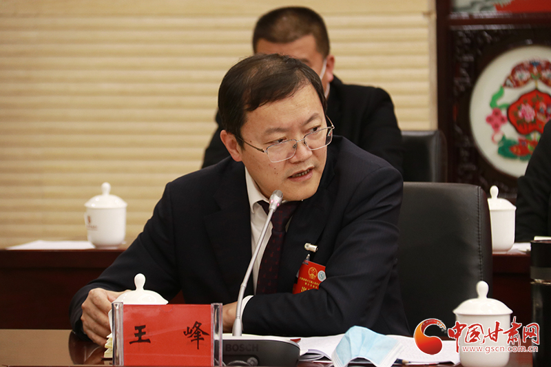 【聚焦2022甘肅兩會(huì)·代表委員說(shuō)】省人大代表王峰：建議高度關(guān)注金融領(lǐng)域重大風(fēng)險(xiǎn)