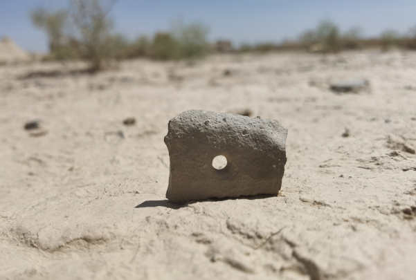 插圖1：河西走廊上遺存的古陶片。攝影：陳曉斌。拍攝日期：2020年6月。