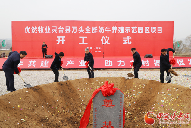 總投資7.2億元！優(yōu)然牧業(yè)靈臺縣萬頭全群奶牛養(yǎng)殖示范園區(qū)項目開工