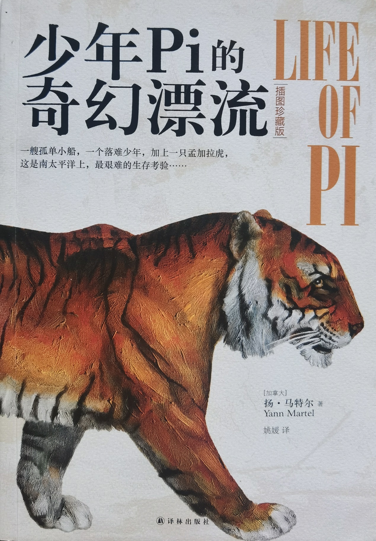 插圖1：揚？馬特爾的小說《少年pi的奇幻漂流》封面