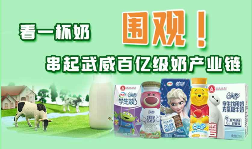 圖解|圍觀！看一杯奶串起武威百億級奶產業(yè)鏈