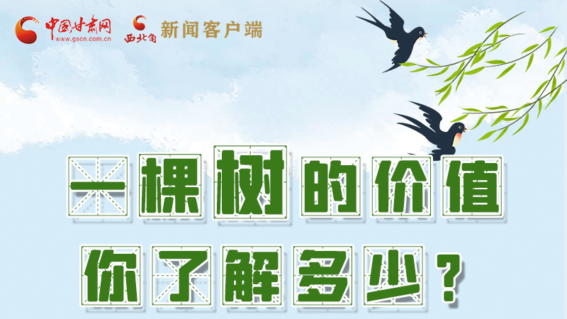 圖解|一棵樹的價(jià)值你了解多少?來看！