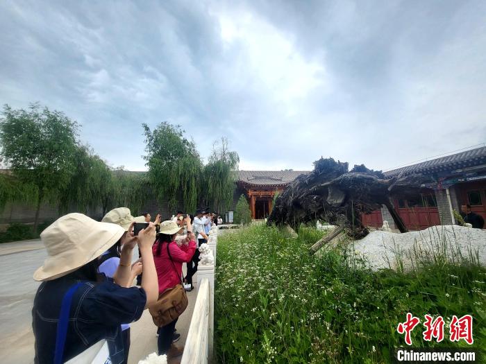 圖為媒體記者在青海永錄民俗參觀(guān)采訪(fǎng)?！⊙Φ?攝