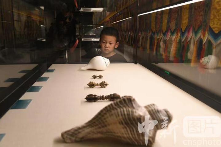 圖為展出的“白海螺法器”吸引小觀眾。 中新社記者 戴文昌 攝
