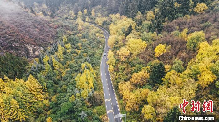 深秋，航拍位于蘭州市榆中縣的興隆山，景色如畫。金峯 攝</p>
<p>