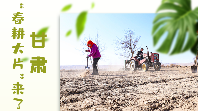 【甘快看】海報|瞧！甘肅“春耕大片”來了