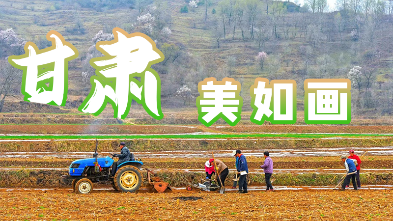 微海報(bào)|甘肅，美如畫(huà)