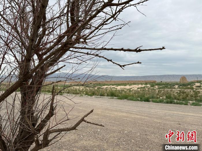 圖為位于長(zhǎng)城墻體上的“馬面”或“敵臺(tái)”?！〈魑牟?攝