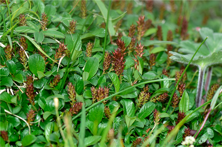 1730103337580354.png 30-2.png