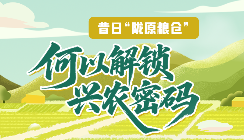 【理響中國·話隴點(diǎn)睛（3）】昔日“隴原糧倉”，何以解鎖“興農(nóng)密碼”
