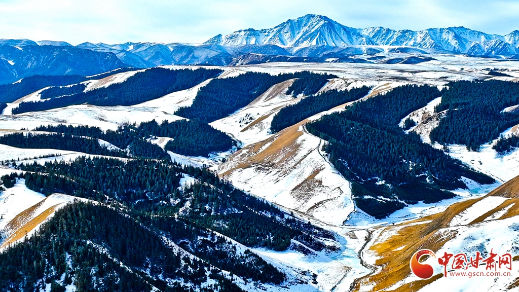 肅南：雪后祁連山風光如畫