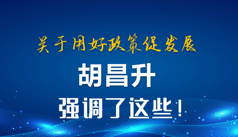 圖解|關(guān)于用好政策促發(fā)展 胡昌升強(qiáng)調(diào)了這些！