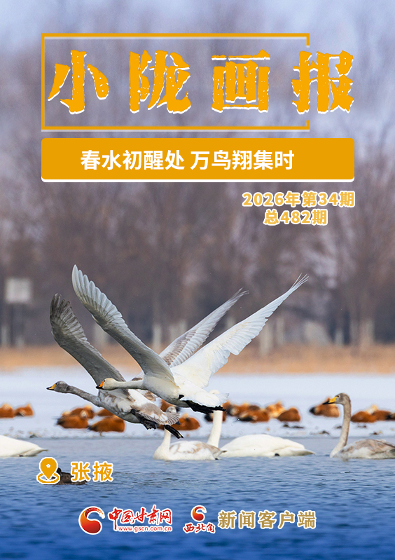 【小隴畫(huà)報(bào)·482期】張掖:春水初醒處 萬(wàn)鳥(niǎo)翔集時(shí)