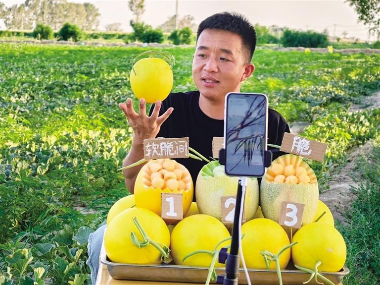 大漠深處，青春如梭梭般扎根